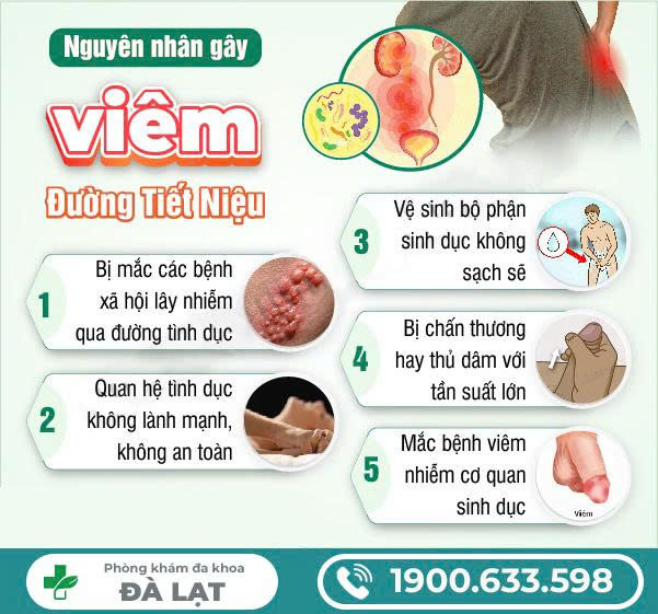 Hình ảnh minh họa